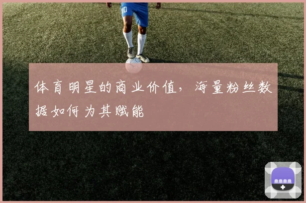 体育明星的商业价值，海量粉丝数据如何为其赋能