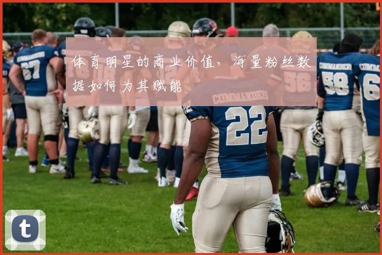 体育明星的商业价值,海量粉丝数据如何为其赋能